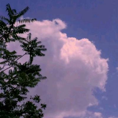 八爪鱼手游大师app下载