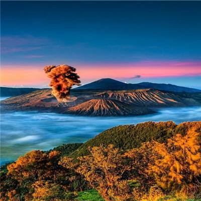 大逆之门手游(暂未上线)v1.0 安卓版