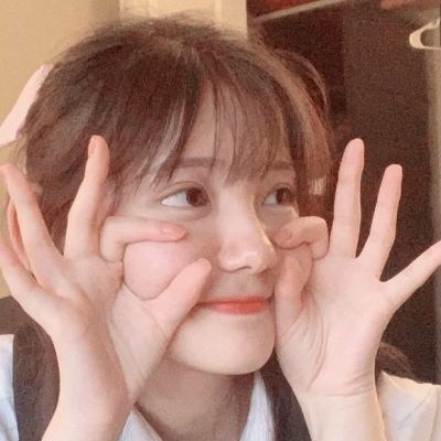 仙道问情官方下载